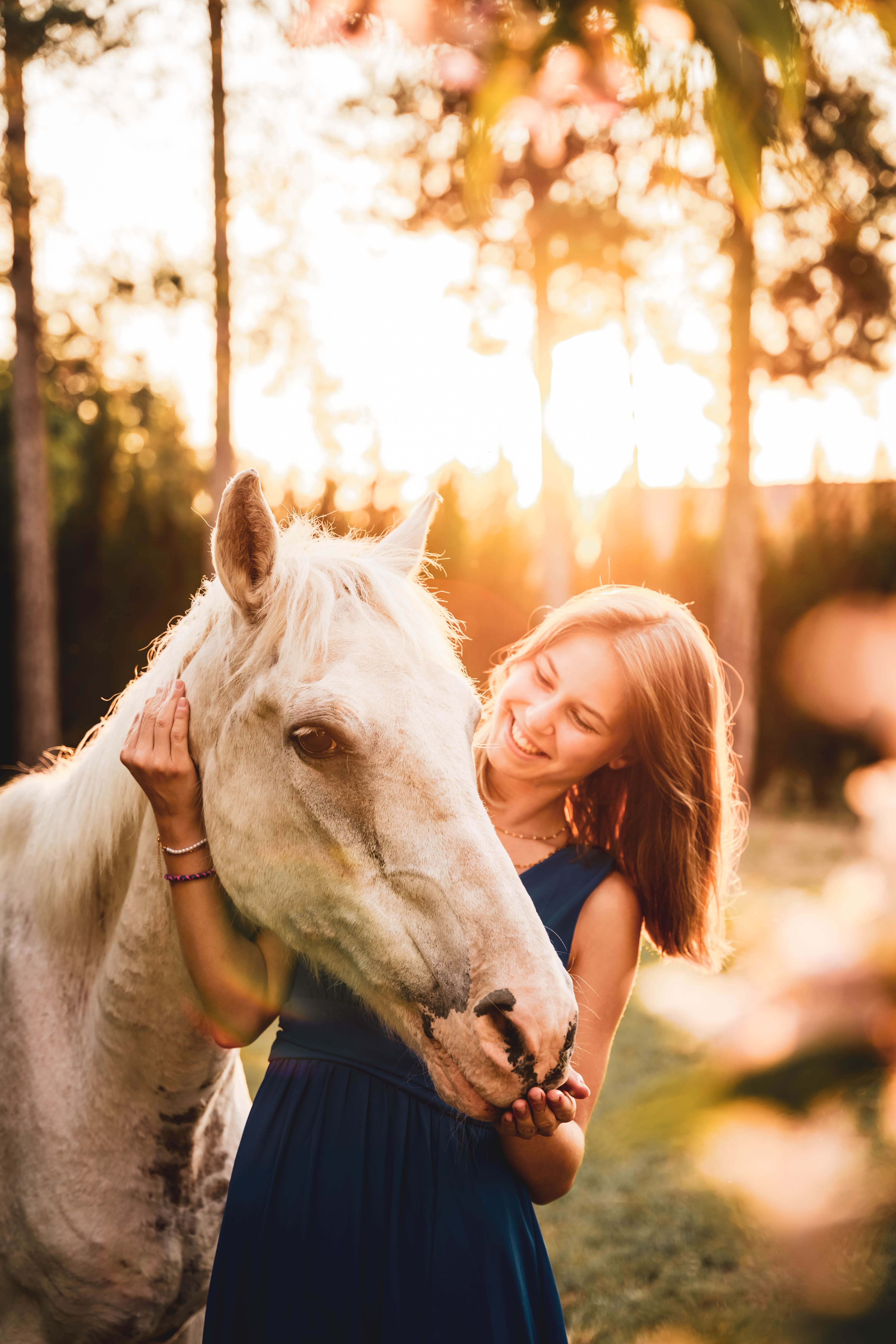 cheval photo avec cavalier