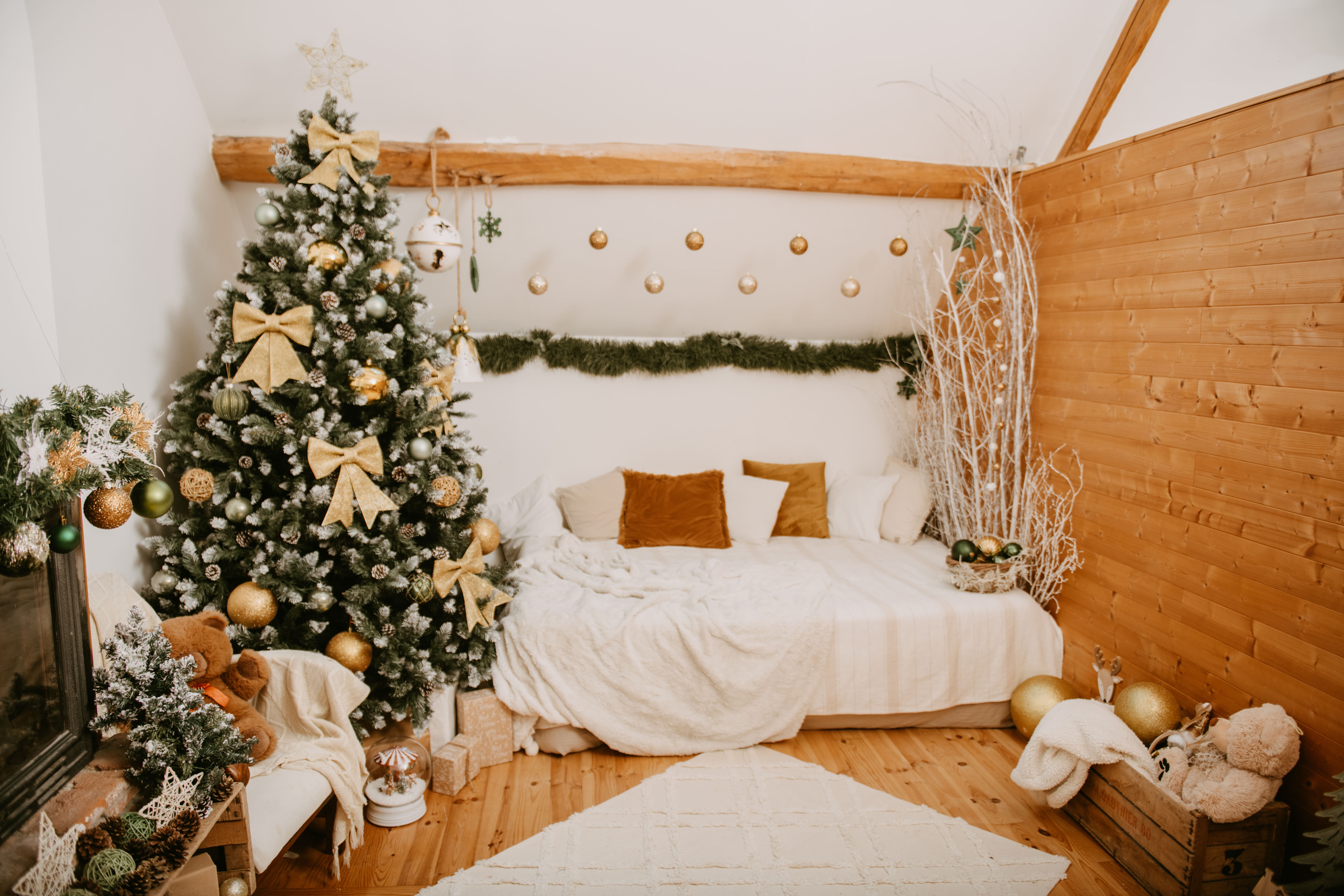Vert Sapin _-3 séance photo de noël décor vert